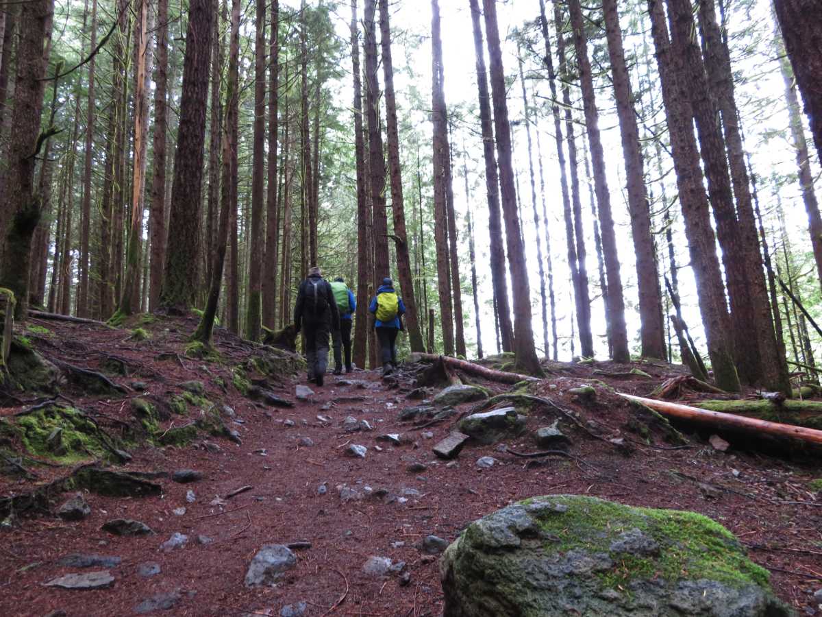 Following the trail to Stump Lake