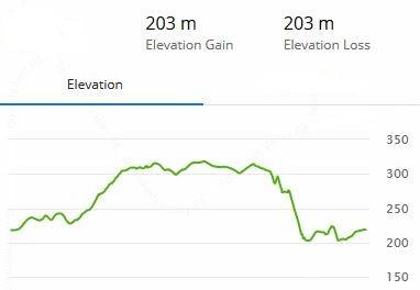 Elevation Profile