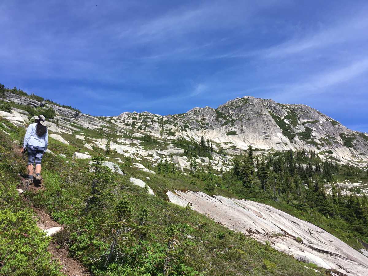 Guanaco Peak