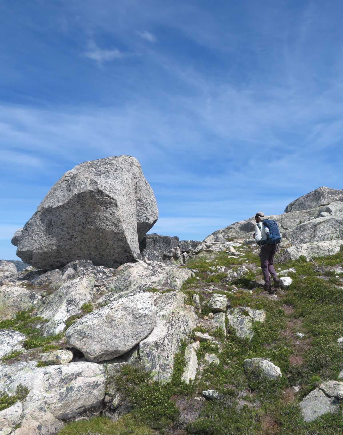 Reaching Guanaco