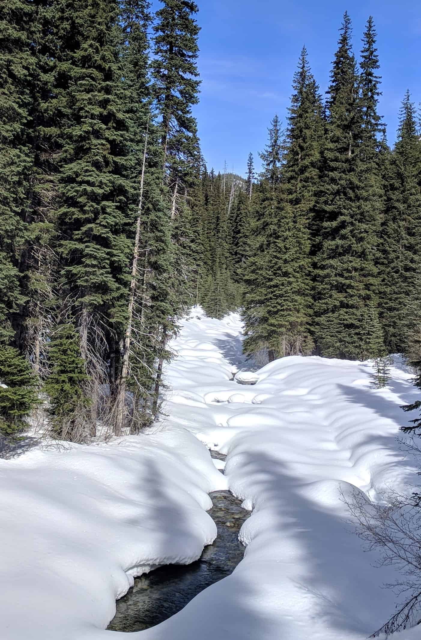 Similkameen River 