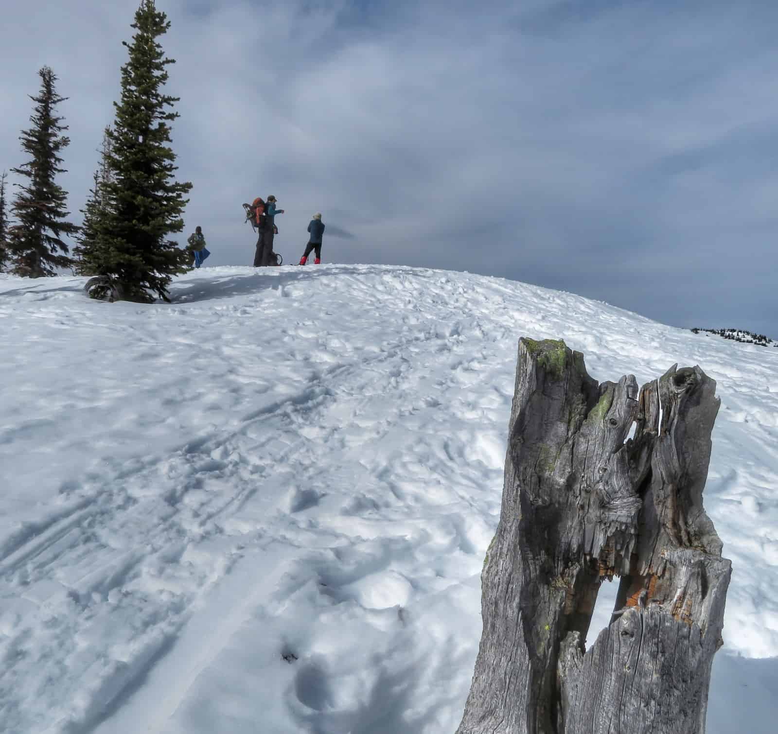 Reaching the viewpoint