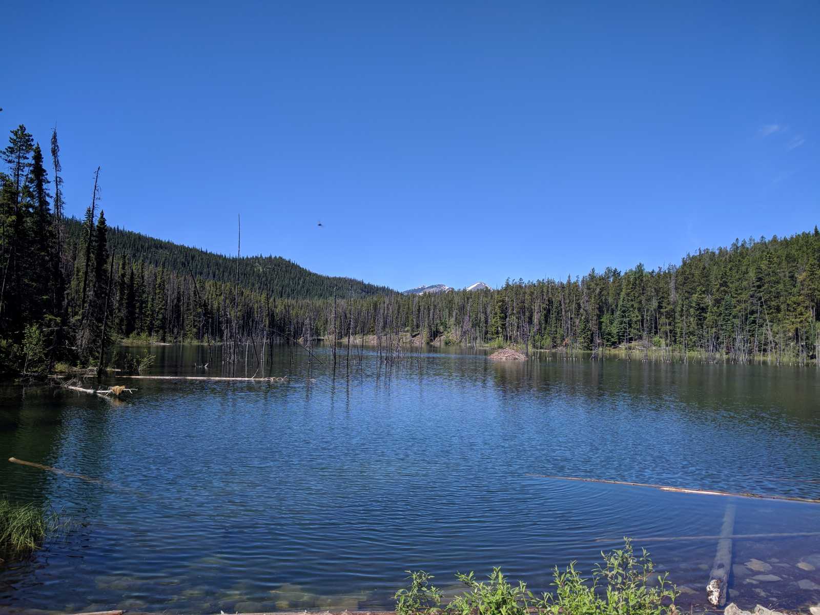 The Start of the Stone Corral Hiking Trail