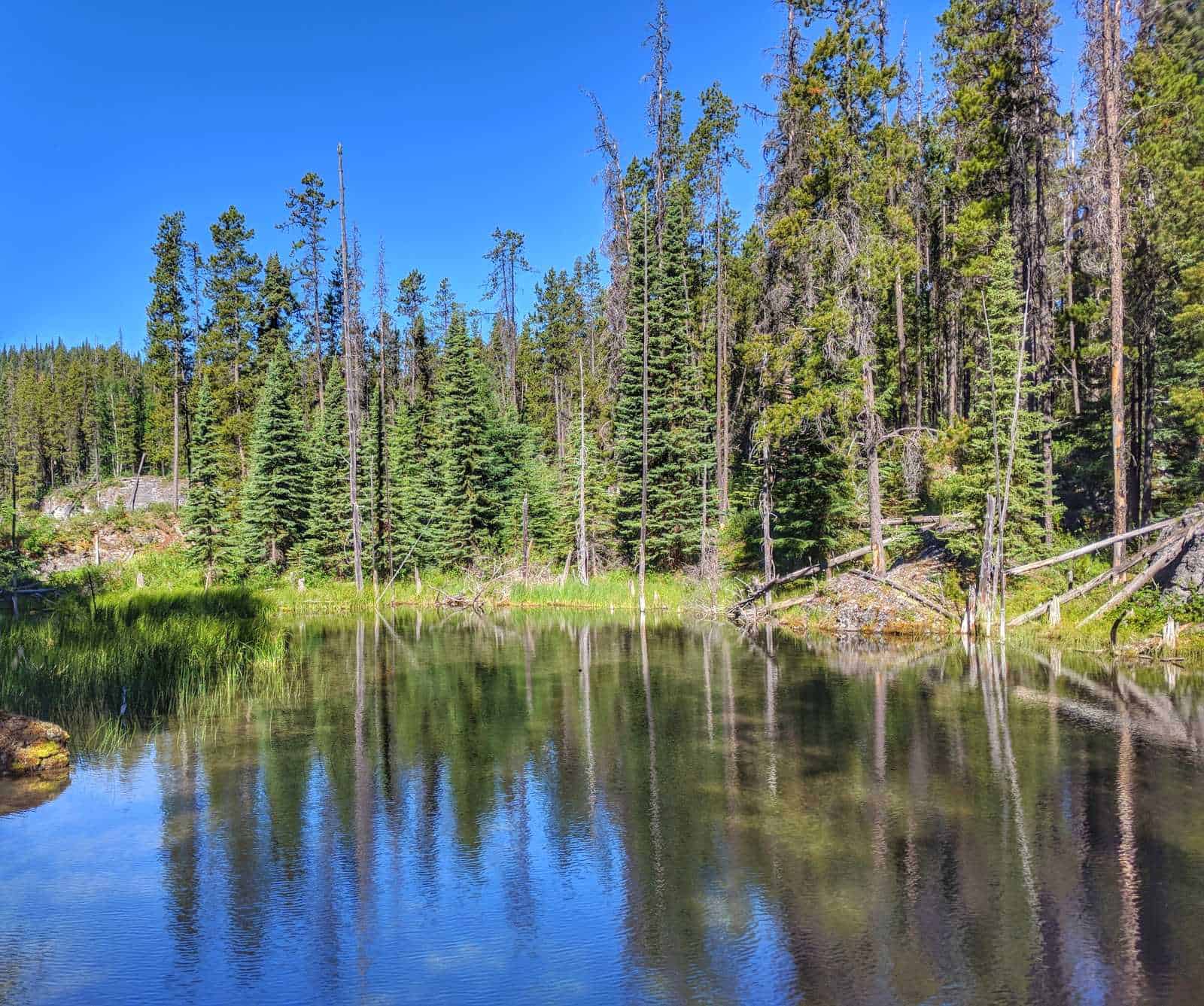 Green Bowl Upstream