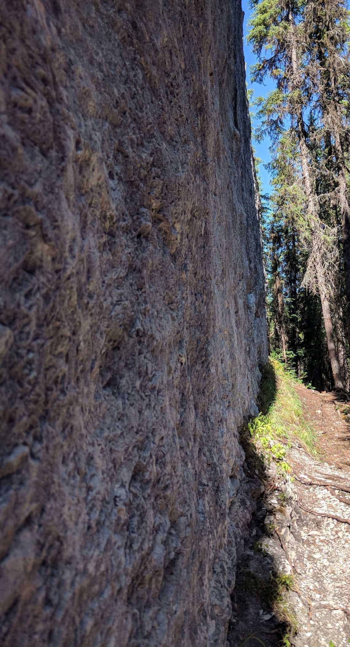 Limestone Wall