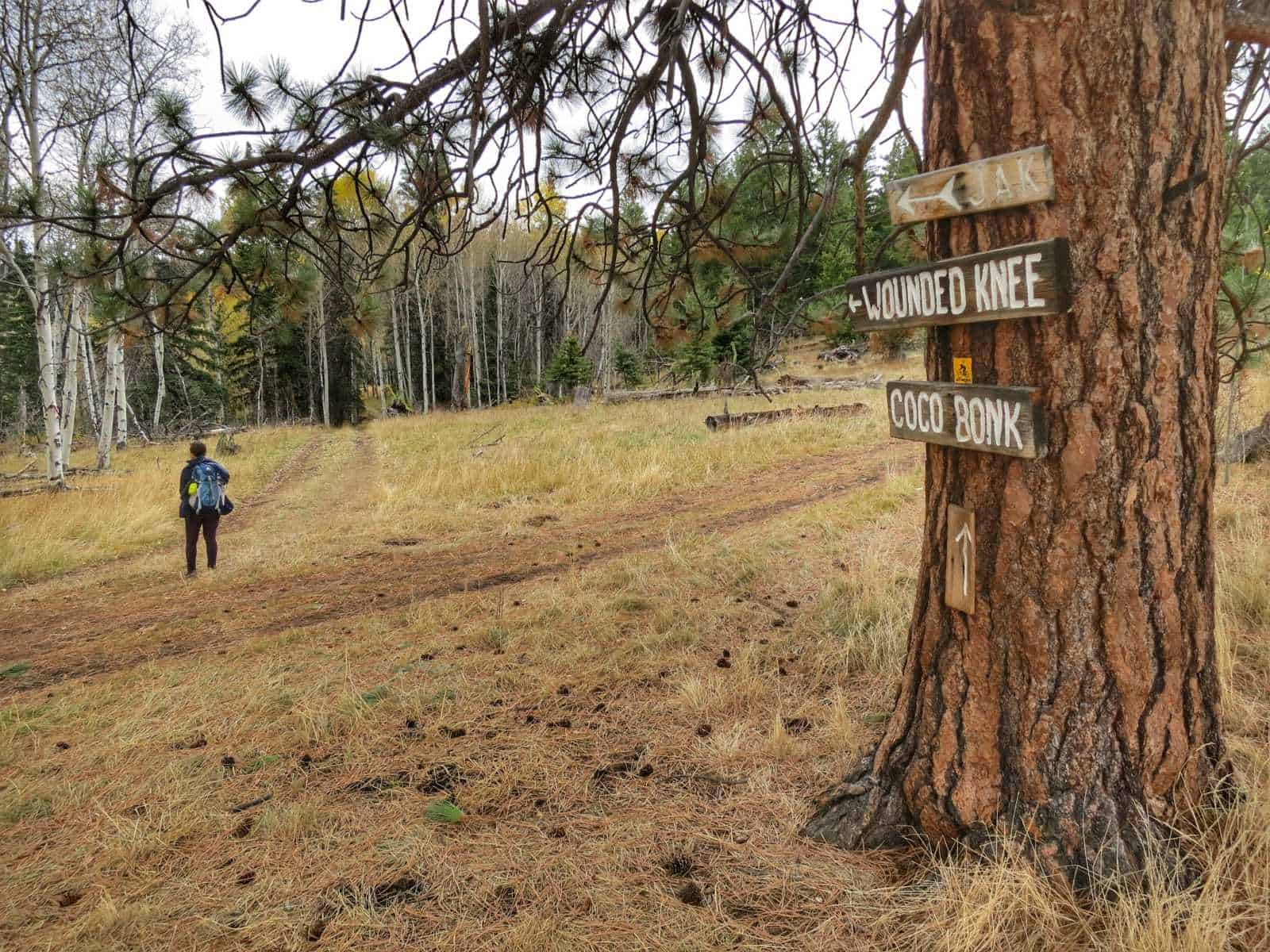 Wounded Knee Trail