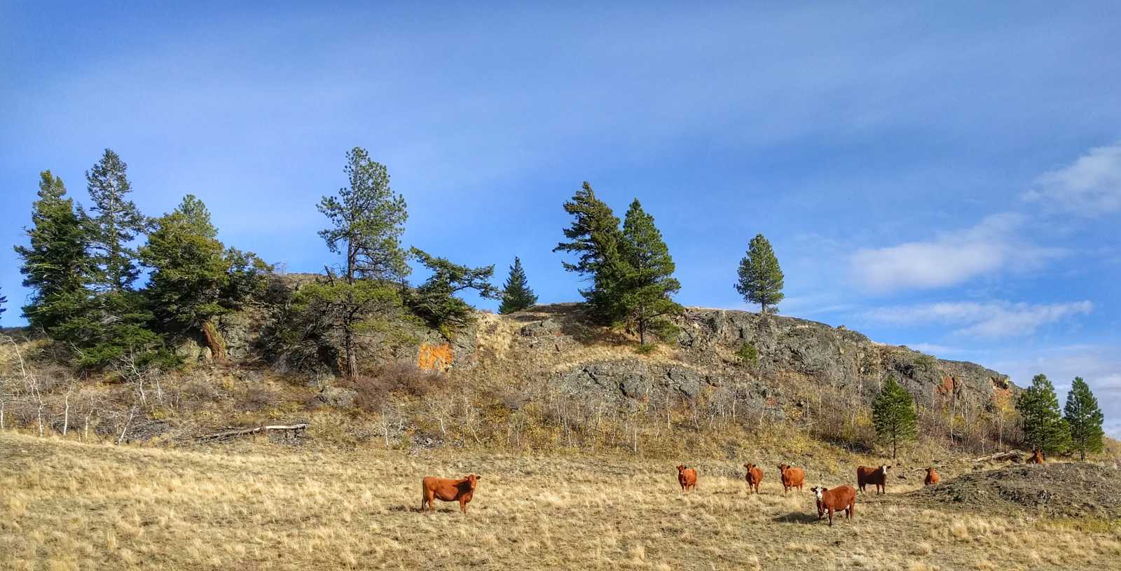 Hill before Sugarloaf Mountain