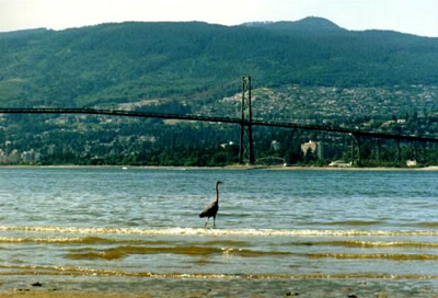 Burrard Inlet